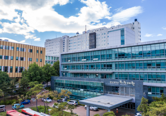 2026 의사국시 실기 '올 패스'… 영남대가 만든 완전체 기록